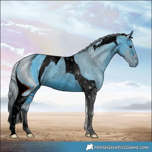 Horse Color:ERROR: UNKNOWN ANOMALY