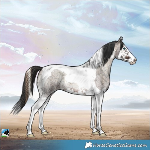 Horse Color:Brown Ice Roan Onyx Splash Tobiano 