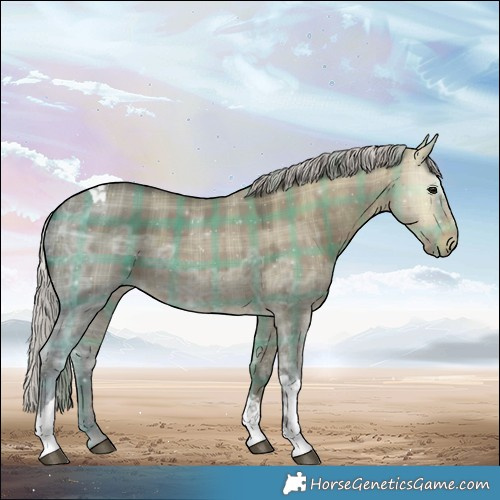 Horse Color:Plaid Silver Brown Ice Dun Tobiano Rabicano