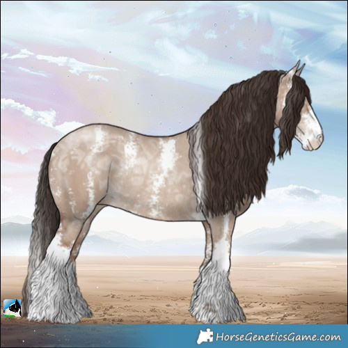 Horse Color:Classic Champagne Ice Dun Sabino Rabicano