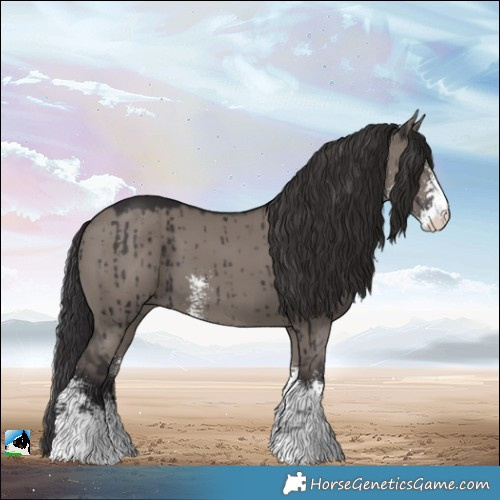 Horse Color:Smoky Grullo Mushroom Sabino Brindle