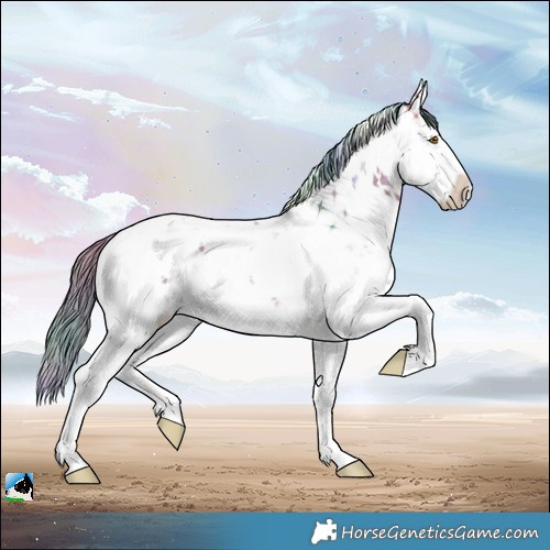 Horse Color:Nacre Watercolor Buckskin Dun Mushroom Sabino Brindle