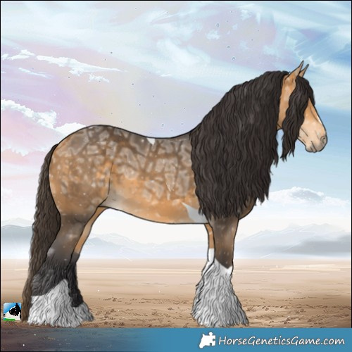 Horse Color:Buckskin Ice Tobiano
