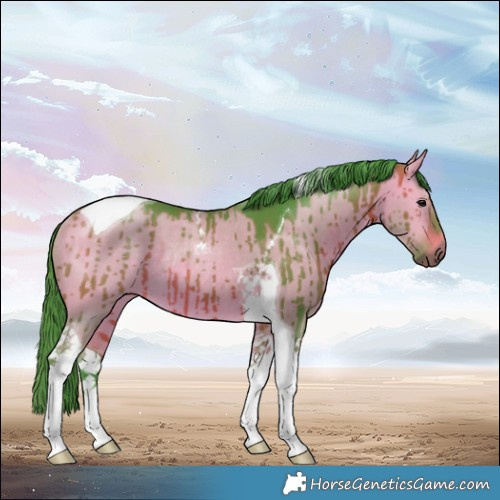 Horse Color:Watercolor Bay Dun Tobiano Rabicano Brindle 