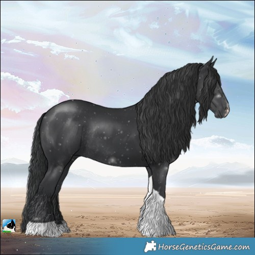 Horse Color:Black Sabino Tobiano Rabicano 