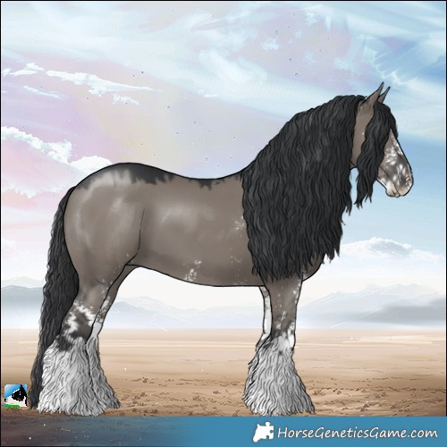 Horse Color:Grullo Mushroom Sabino