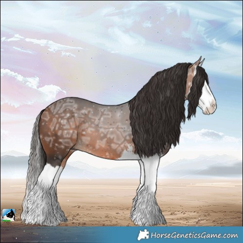 Horse Color:Bay Ice Sabino Splash