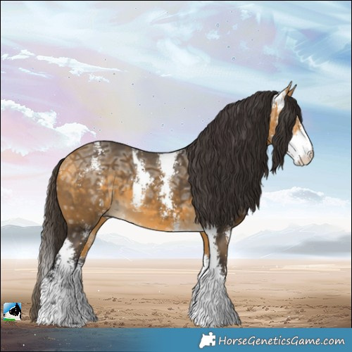 Horse Color:Buckskin Ice Sabino