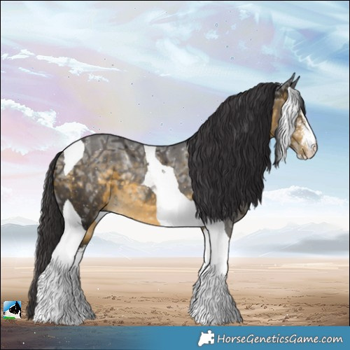 Horse Color:Buckskin Ice Sabino Tobiano Rabicano