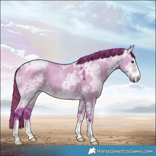 Horse Color:Watercolor Red Dun Ice