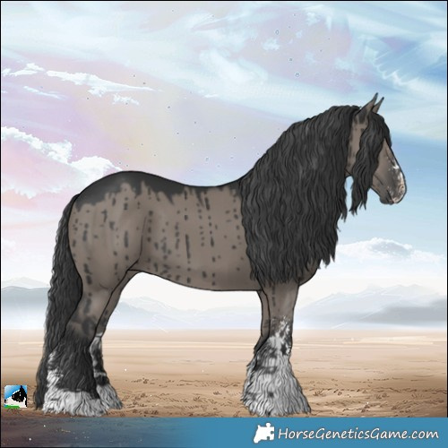 Horse Color:Grullo Sabino Brindle 