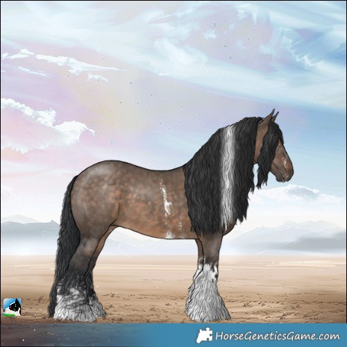 Horse Color:Brown Dun Sabino Tobiano