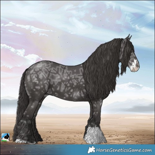 Horse Color:Smoky Black Ice Sabino 
