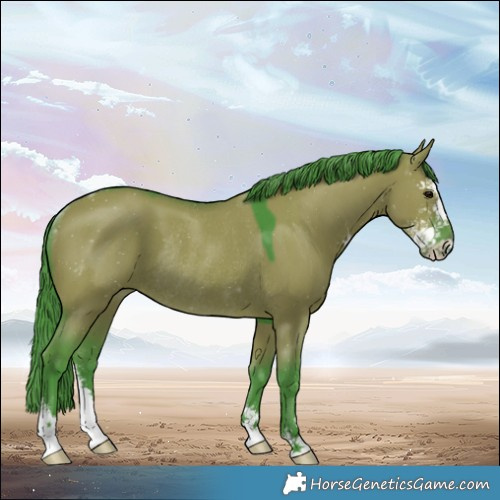 Horse Color:Watercolor Grullo Sabino Rabicano 