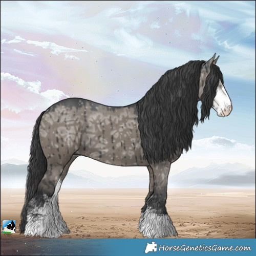 Horse Color:Grullo Ice Sabino Brindle 