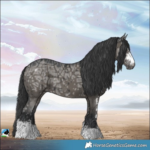 Horse Color:Grullo Ice Sabino Brindle 
