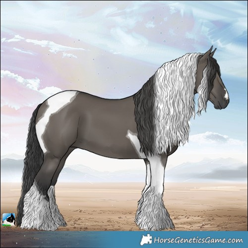 Horse Color:Grullo Tobiano 