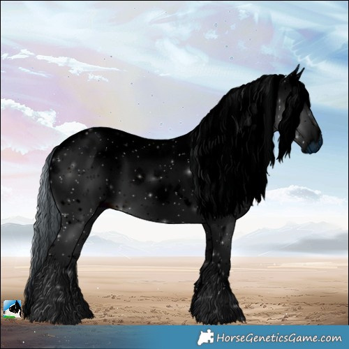 Horse Color:ERROR: UNKNOWN ANOMALY