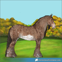 Horse Color:Liver Chestnut Tobiano  and Liver Red Dun Frame 