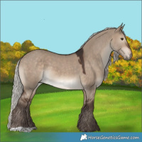 Horse Color:Silver Brown Dun 