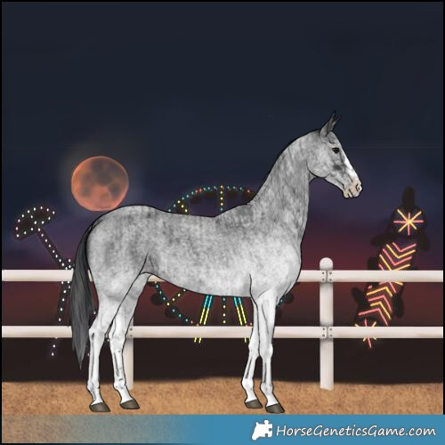 Horse Color:White Spotted Blue Roan Rabicano  and White Spotted Blue Roan Splash Rabicano 