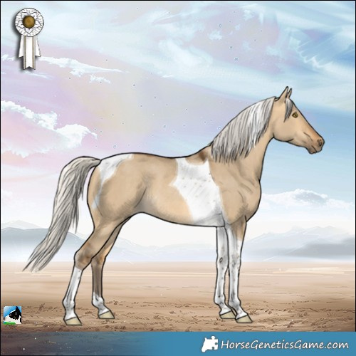 Horse Color:Silver Buckskin Dun Tobiano Rabicano