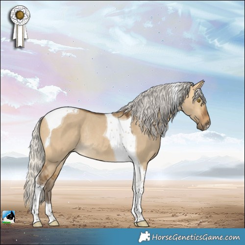 Horse Color:Silver Buckskin Dun Tobiano Rabicano