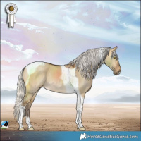 Horse Color:Silver Buckskin Dun Tobiano Rabicano