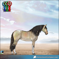 Horse Color:Buckskin Dun Tobiano Rabicano Brindle