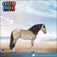 Horse Color:Buckskin Dun Tobiano Rabicano Brindle