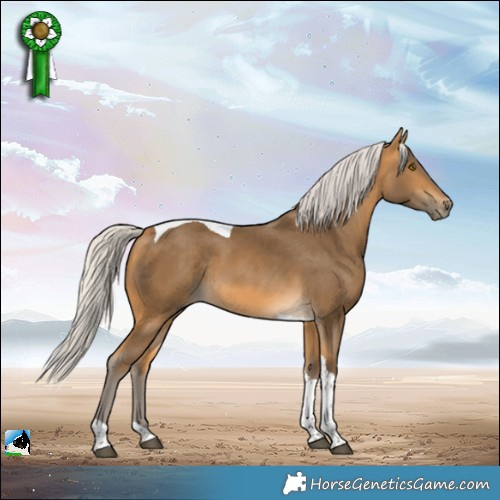 Horse Color:Silver Buckskin Tobiano Rabicano