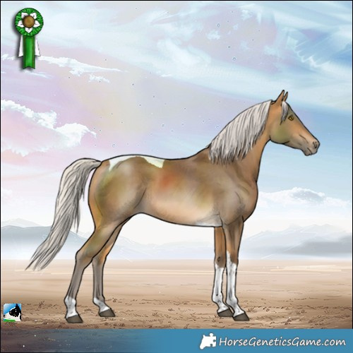 Horse Color:Silver Buckskin Tobiano Rabicano 