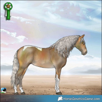 Horse Color:Silver Buckskin Tobiano Rabicano