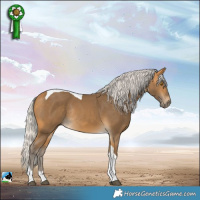 Horse Color:Silver Buckskin Tobiano Rabicano