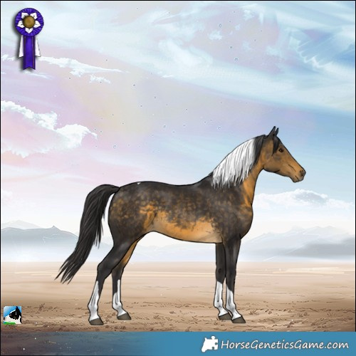 Horse Color:Buckskin Tobiano Rabicano