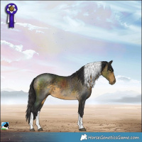 Horse Color:Buckskin Tobiano Rabicano 