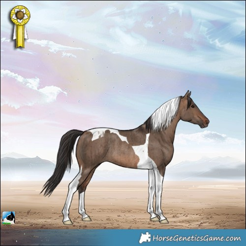 Horse Color:Brown Dun Tobiano Rabicano Brindle 