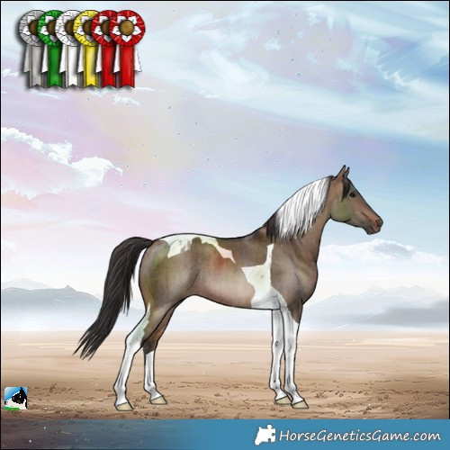 Horse Color:Brown Dun Tobiano Rabicano Brindle 
