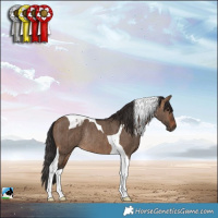 Horse Color:Brown Dun Tobiano Rabicano Brindle 