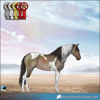 Horse Color:Brown Dun Tobiano Rabicano Brindle