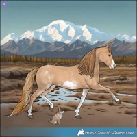 Horse Color:White Spotted Chestnut Sabino Frame