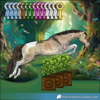 Horse Color:Buckskin Dun Tobiano Rabicano Brindle 