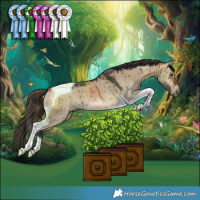 Horse Color:Buckskin Dun Tobiano Rabicano Brindle