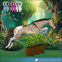 Horse Color:Buckskin Dun Tobiano Rabicano Brindle