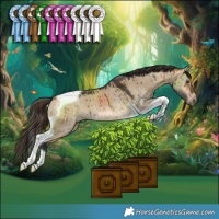 Horse Color:Buckskin Dun Tobiano Rabicano Brindle 