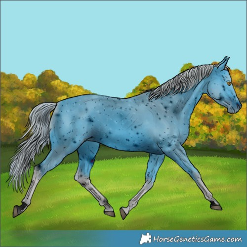 Horse Color:ERROR: UNKNOWN ANOMALY