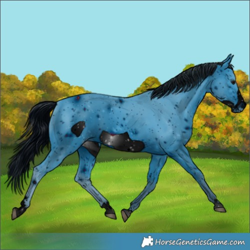 Horse Color:ERROR: UNKNOWN ANOMALY