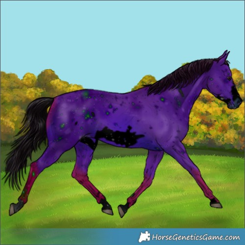 Horse Color:ERROR: UNKNOWN ANOMALY