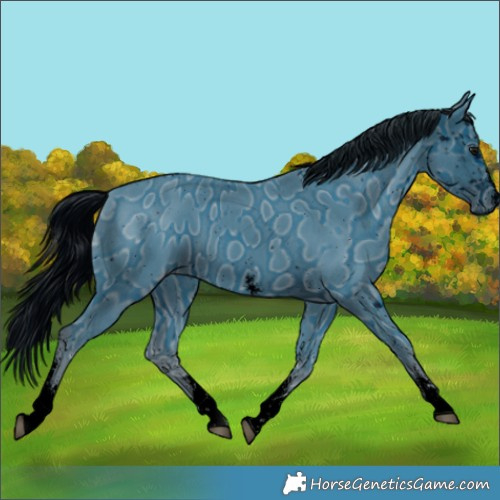 Horse Color:ERROR: UNKNOWN ANOMALY