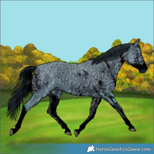 Horse Color:ERROR: UNKNOWN ANOMALY